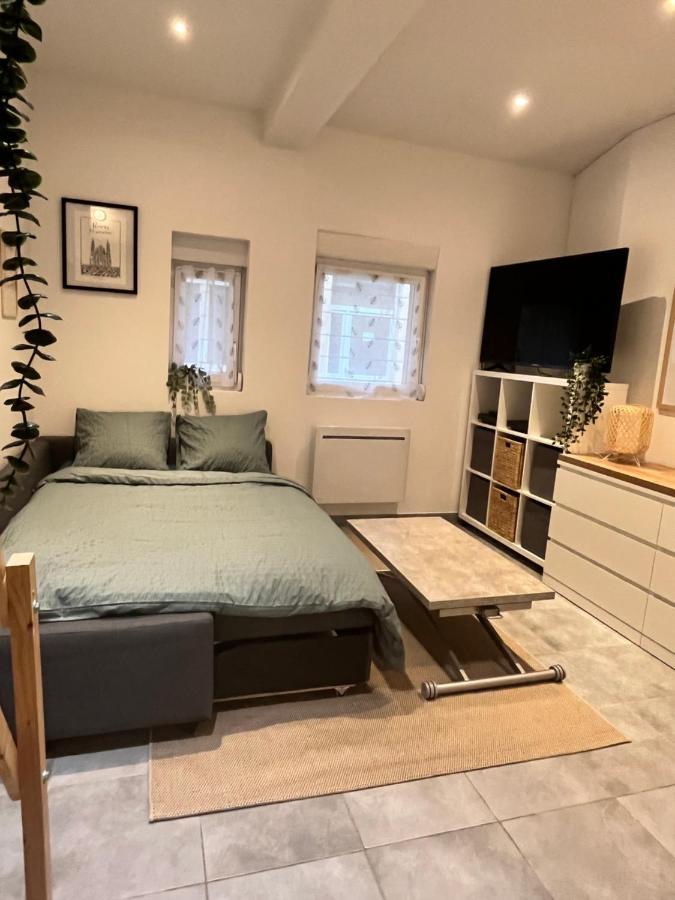 ריימס Le Remois Studio Cosy Hyper Centre מראה חיצוני תמונה